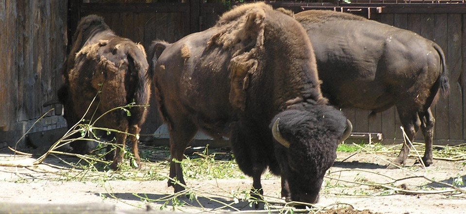 客户管理工具的在线DDOS平台攻击